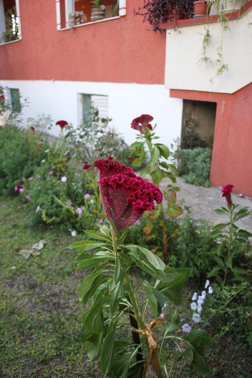 Alvanita Apartments Ülgün Dış mekan fotoğraf