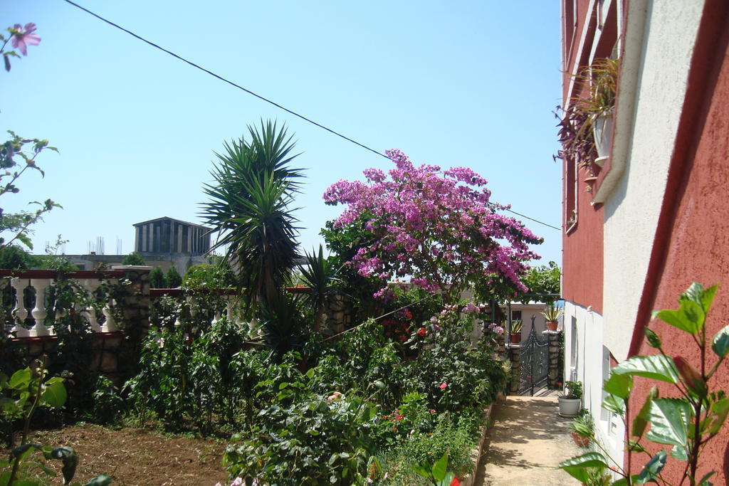 Alvanita Apartments Ülgün Dış mekan fotoğraf